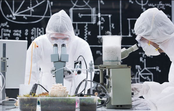 某化學工程項目定制款電蒸汽發生器使用案例!