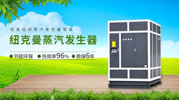 紐克曼蒸汽發生器廠家有什么優勢?