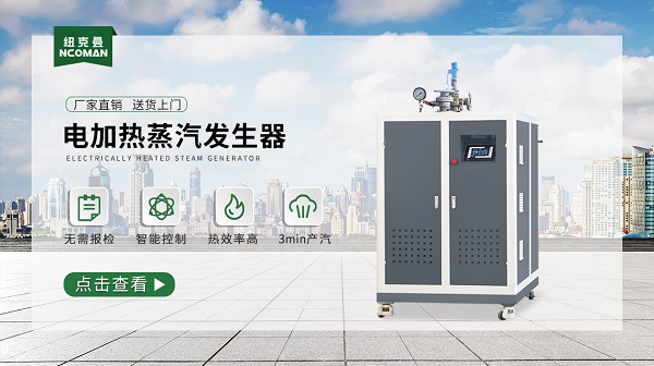 電加熱蒸汽發生器該怎么檢測好壞??方法?