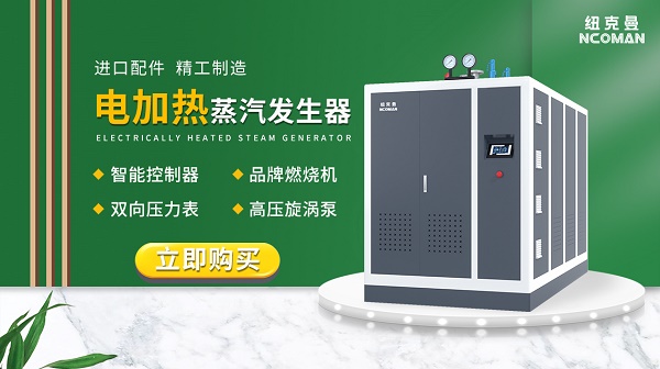 電加熱蒸汽發生器進水時需要注意哪些問題?