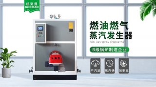 燃氣蒸汽發生器水質指標和水質標準是怎樣的呢?